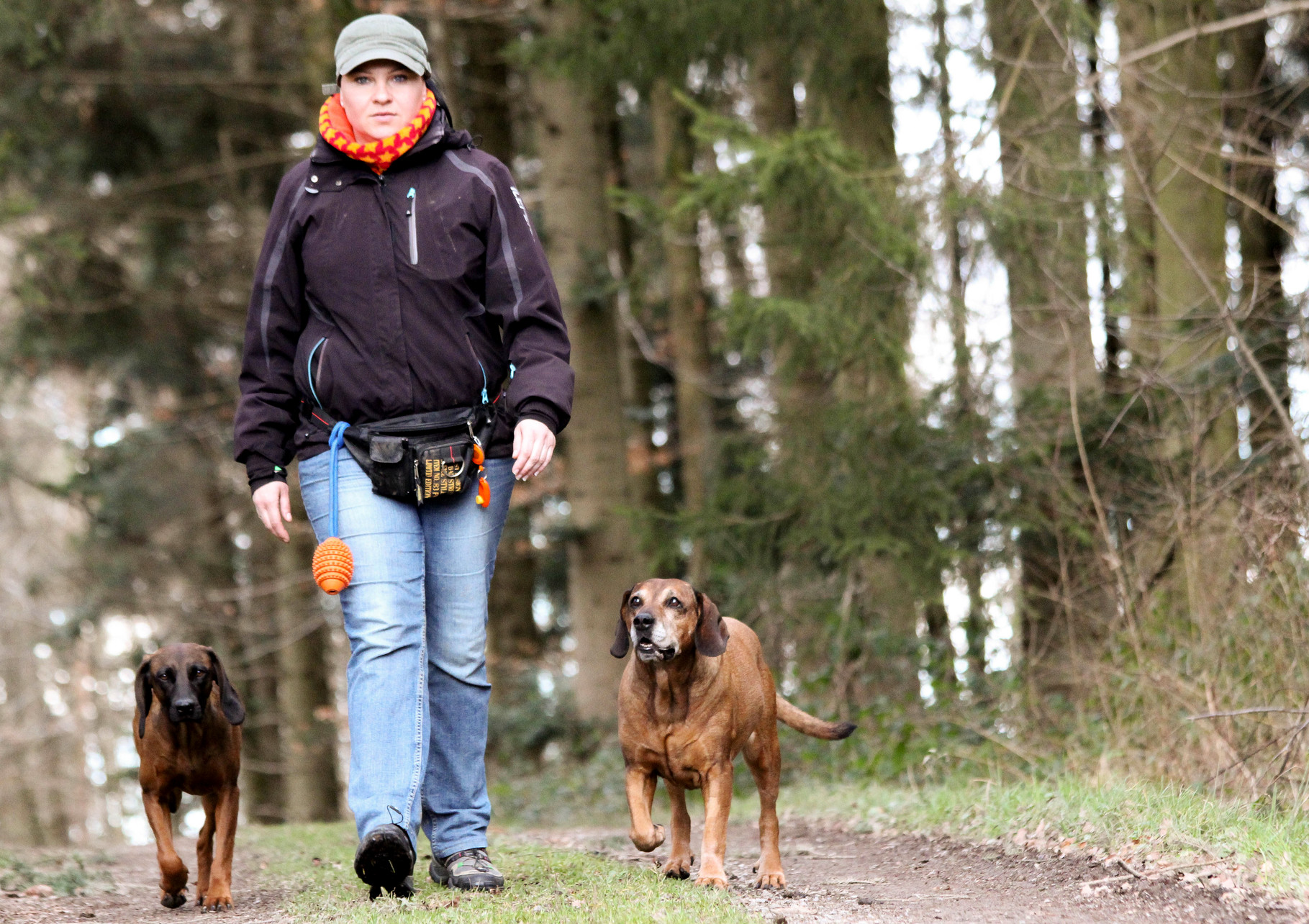 Orientierungstraining Hundeschule "Mensch & Hund im Fokus"