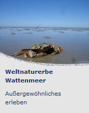 Weltnaturerbe Wattenmeer