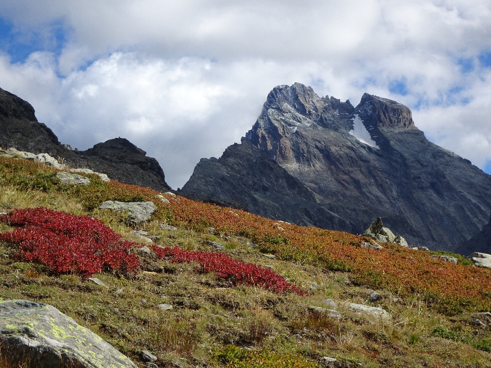 Mon Viso