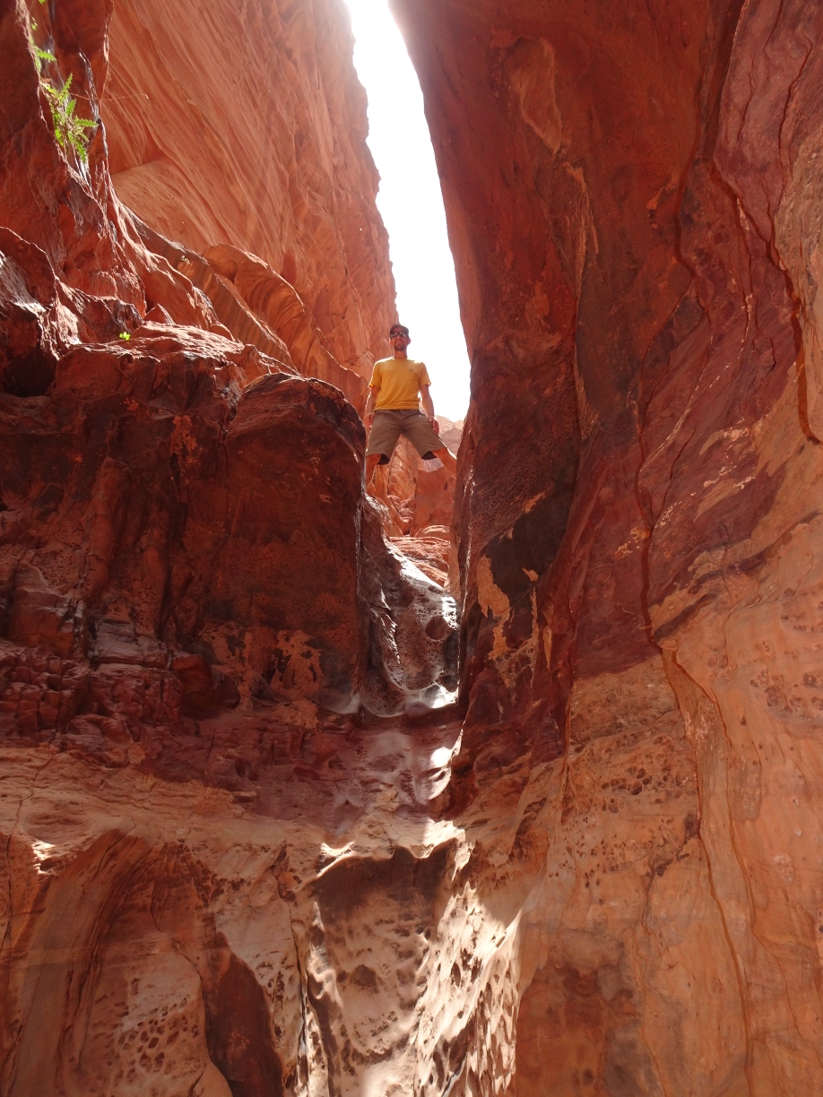 Canyon