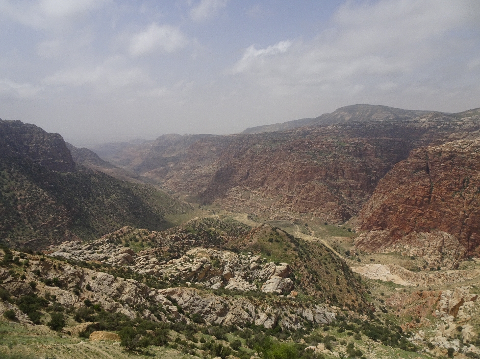 Dana Nature Reserve 