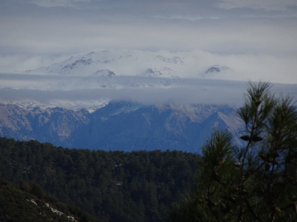 Schneeberge in Sicht