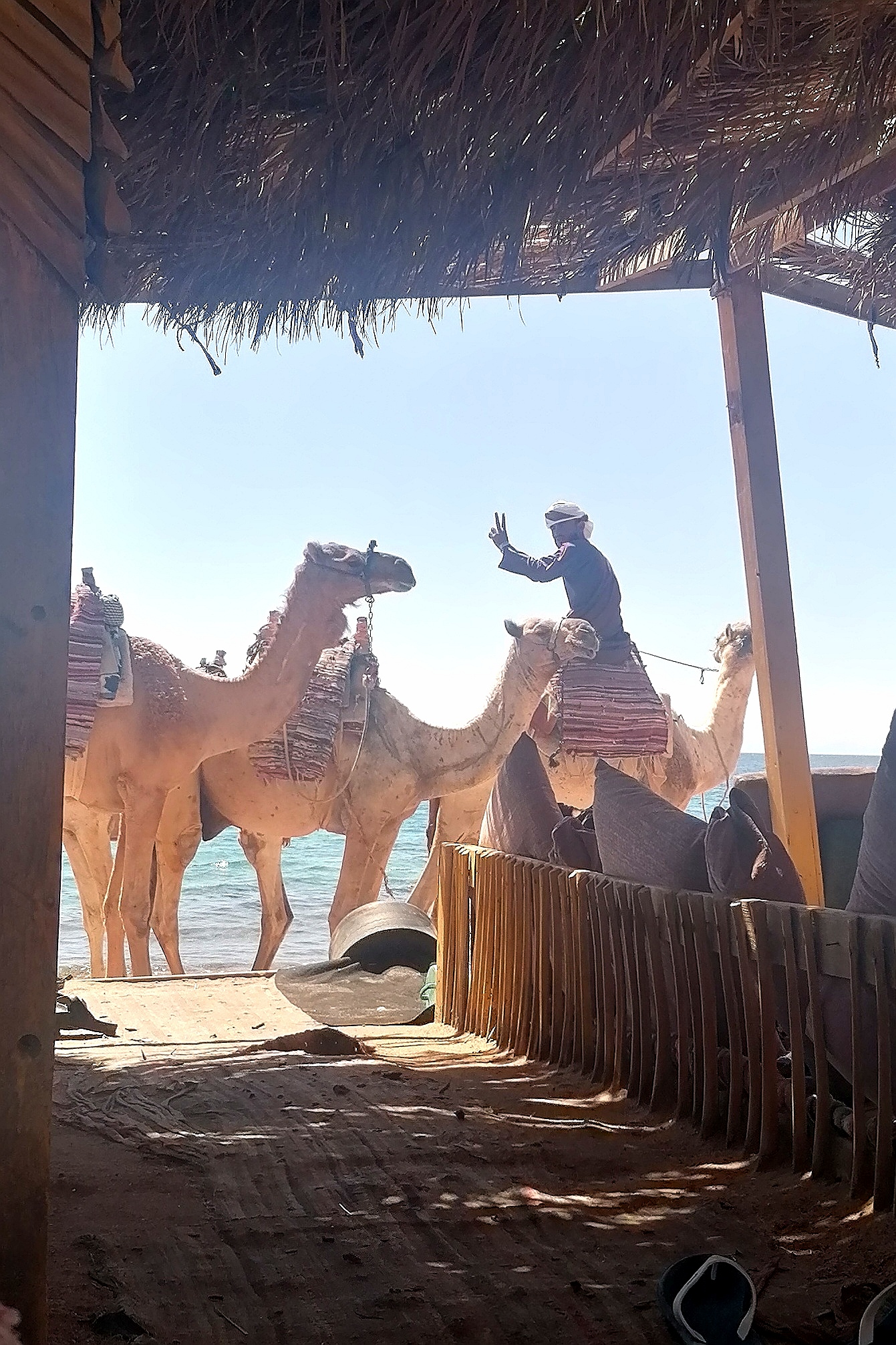 Welcome to Egypt