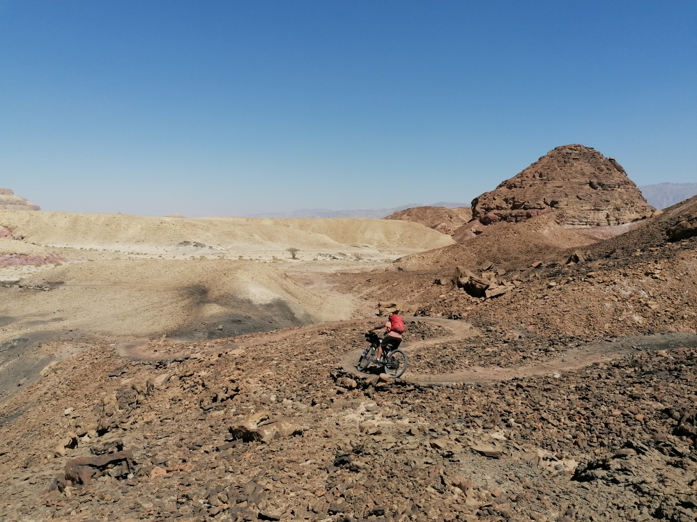 Und viele spassige Trails 