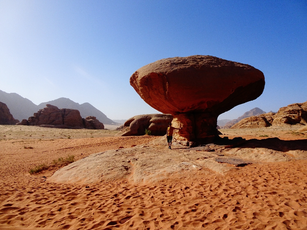The Mushroom