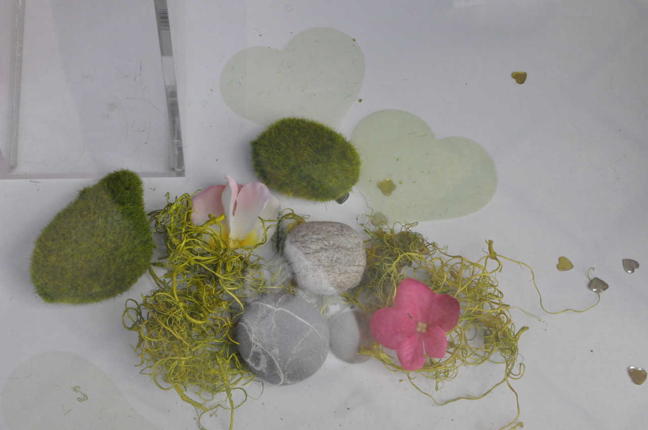 Vitrine printemps mariage