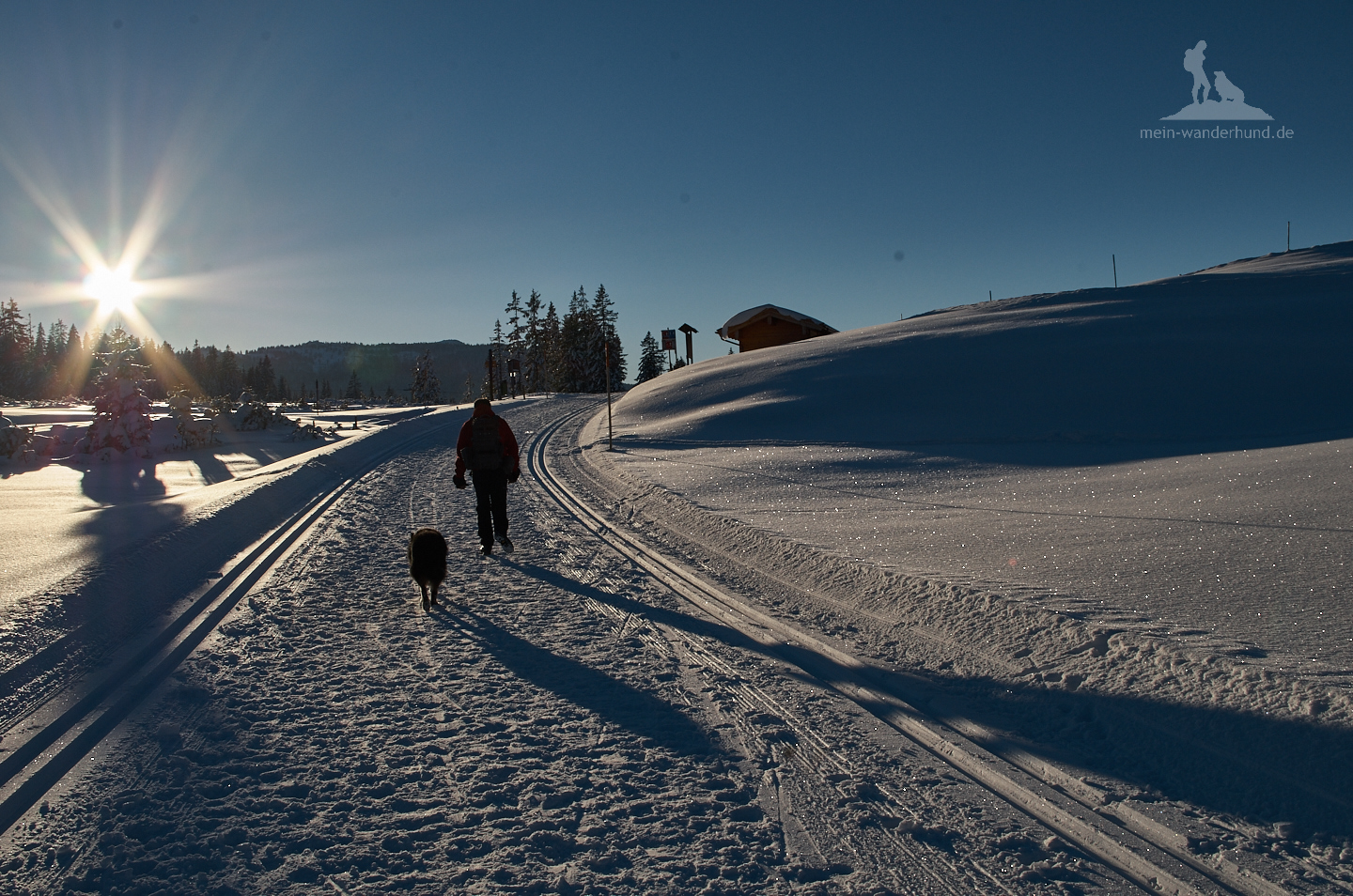 Abendsonne auf der winterlichen Winklmoosalm.