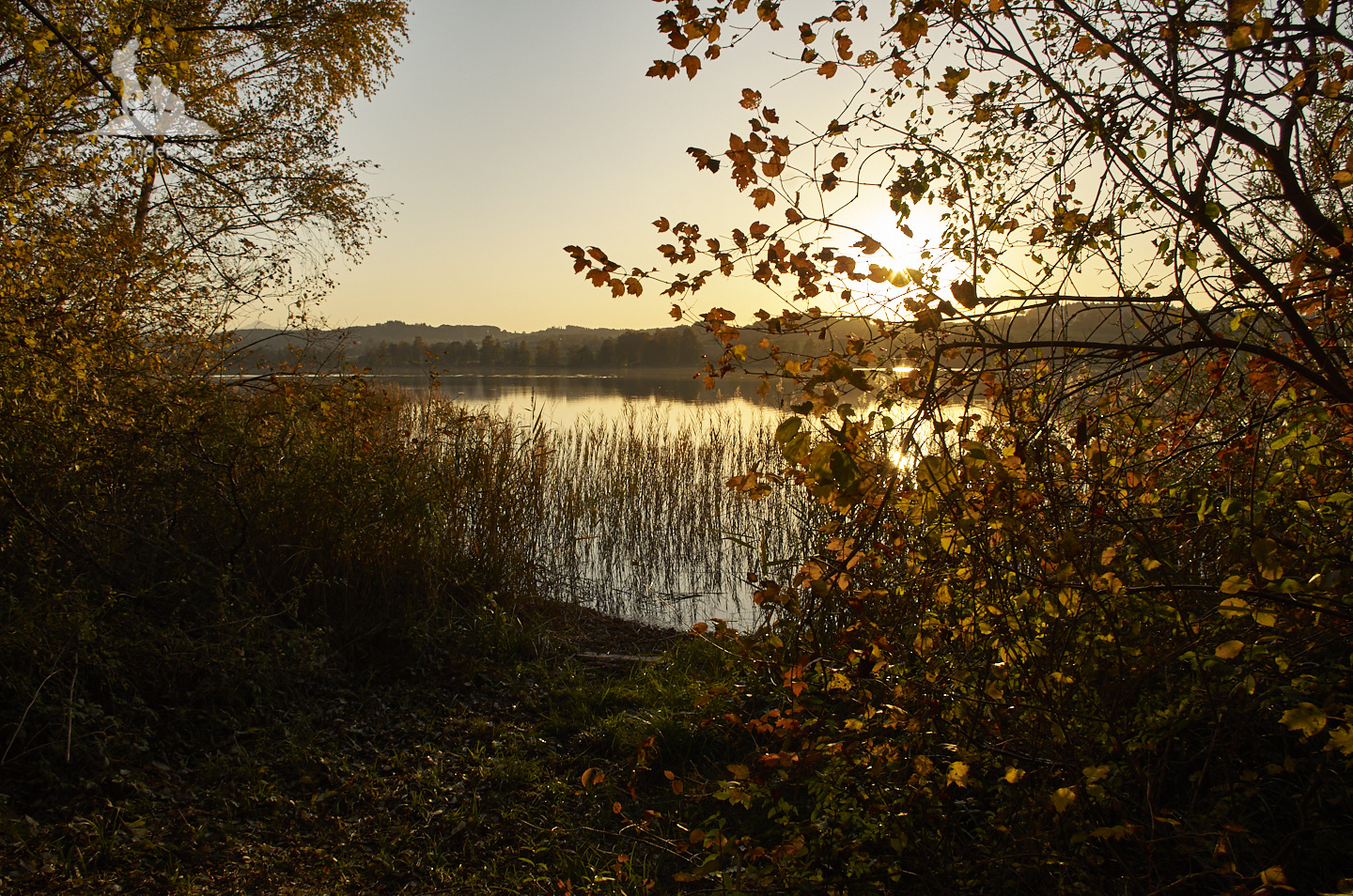 Wanderung mit Hund am Tachinger See im Chiemgau: Sonnenuntergang am See.