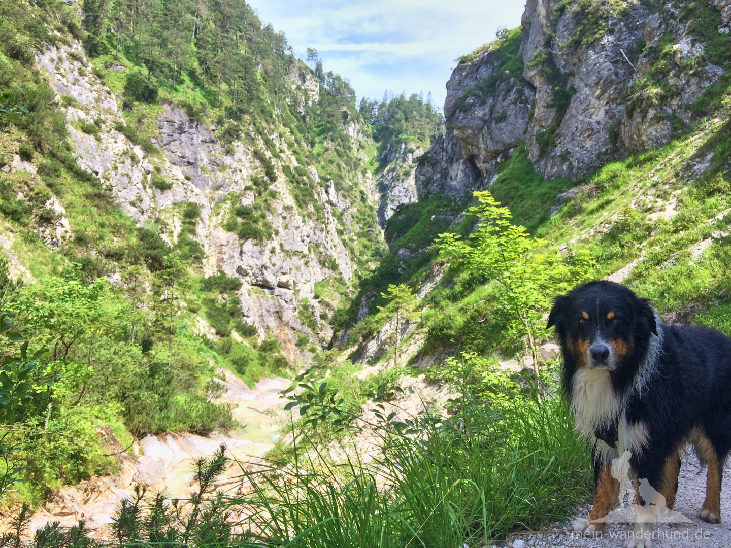 ... in die tief eingeschnittene Klamm ...