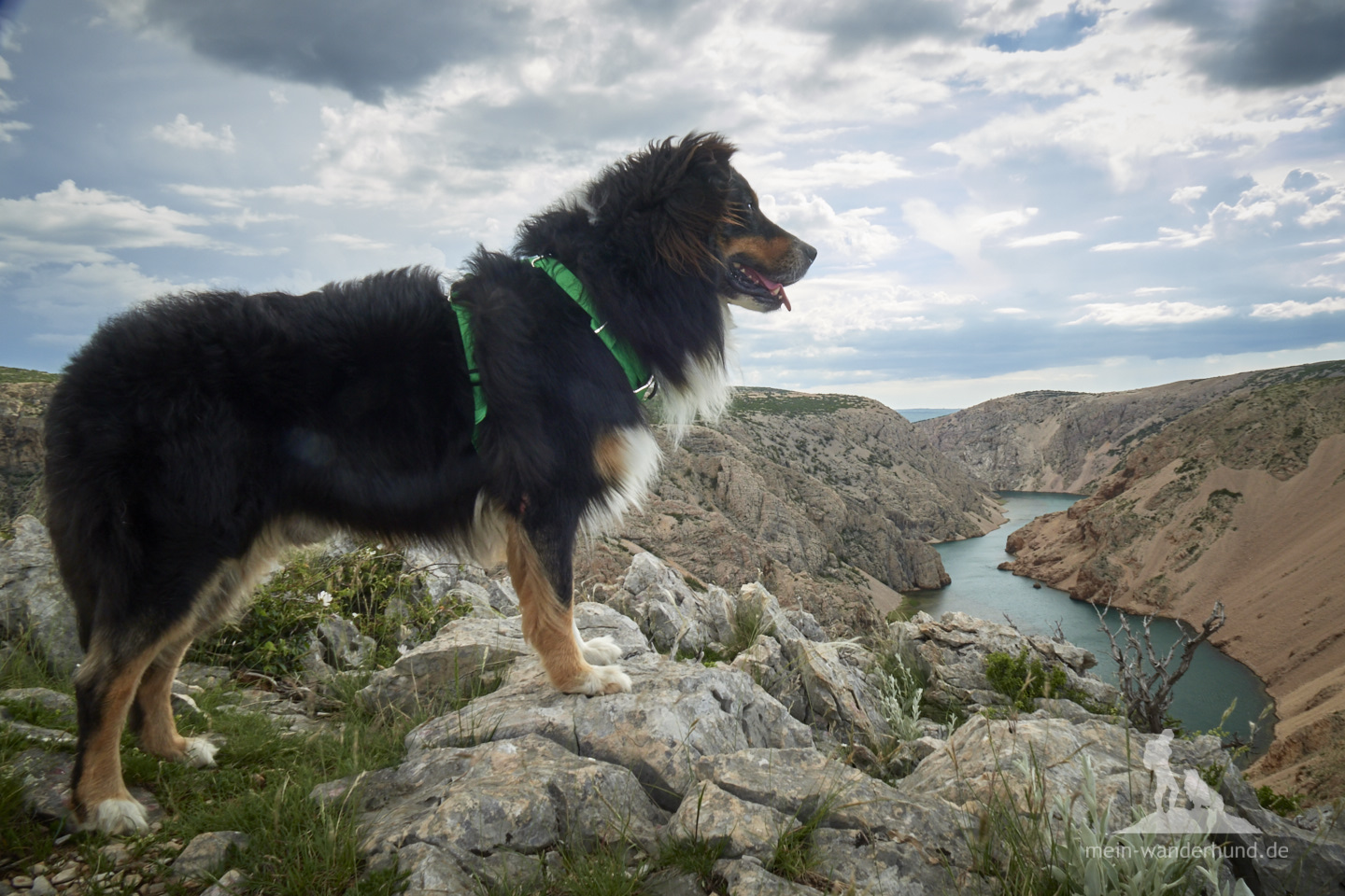 Urlaub mit Hund Kroatien: Zrmanja Schlucht