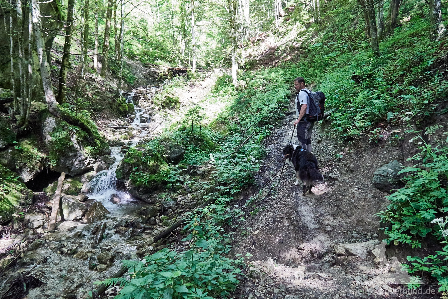 Der Aufstieg auf die Hörndlwand beginnt auf einer Forststraße ...