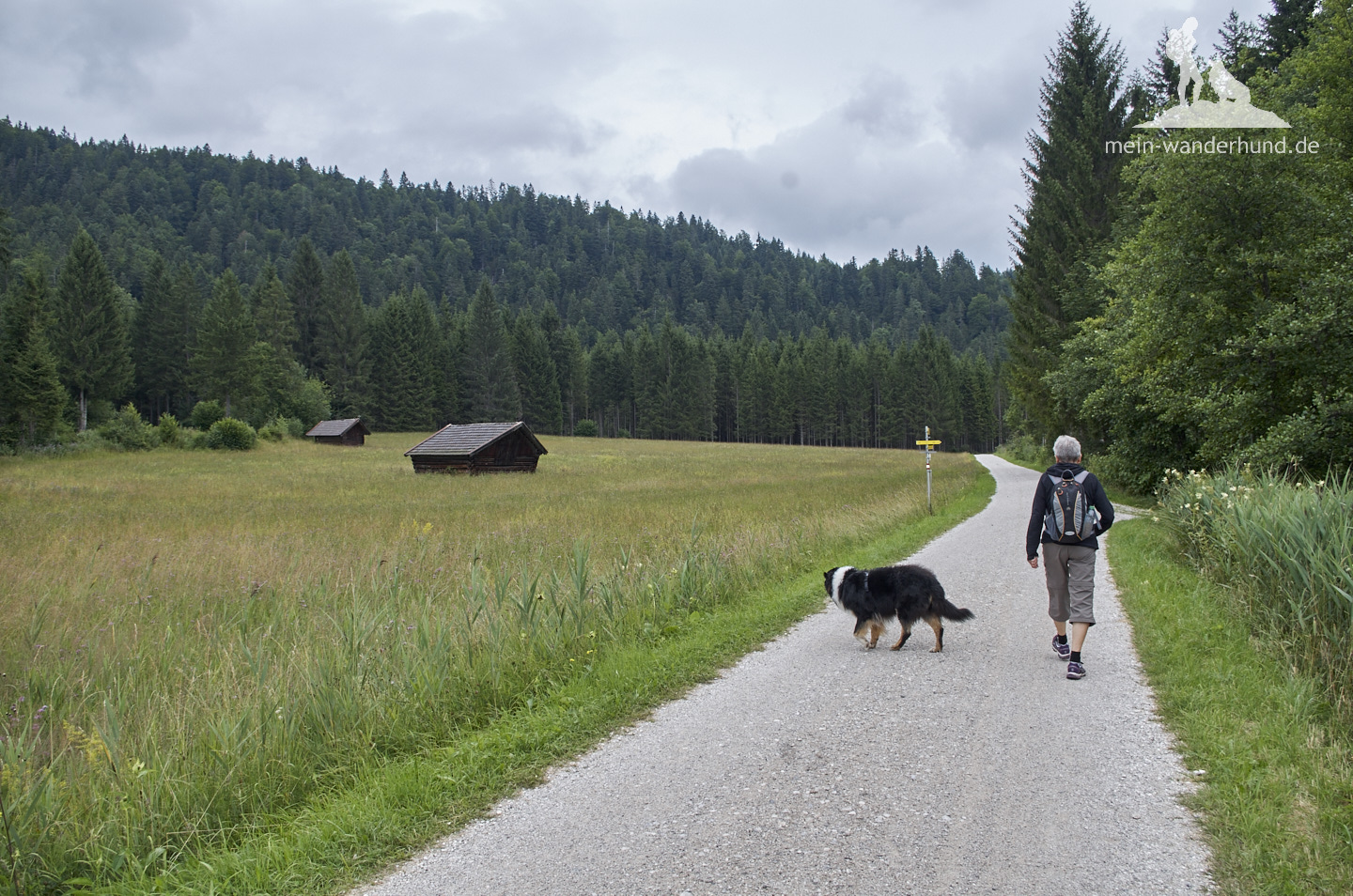 Der Rückweg führt erst am See entlang...