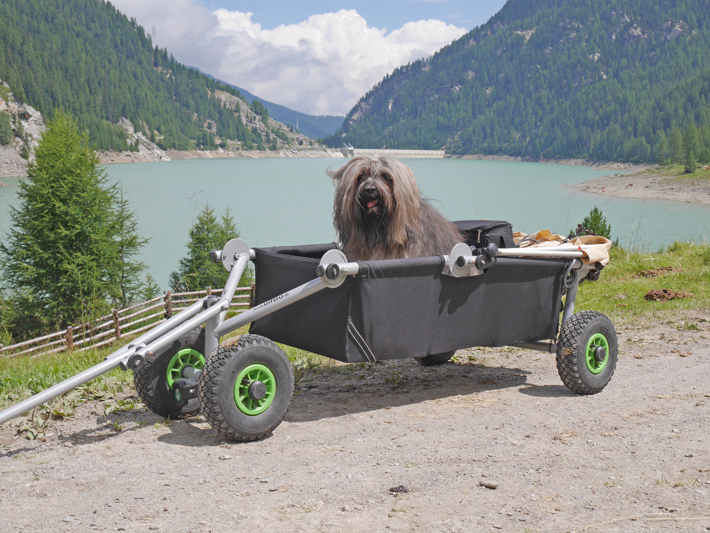 Mika liebt ihren eigenen Bollerwagen.