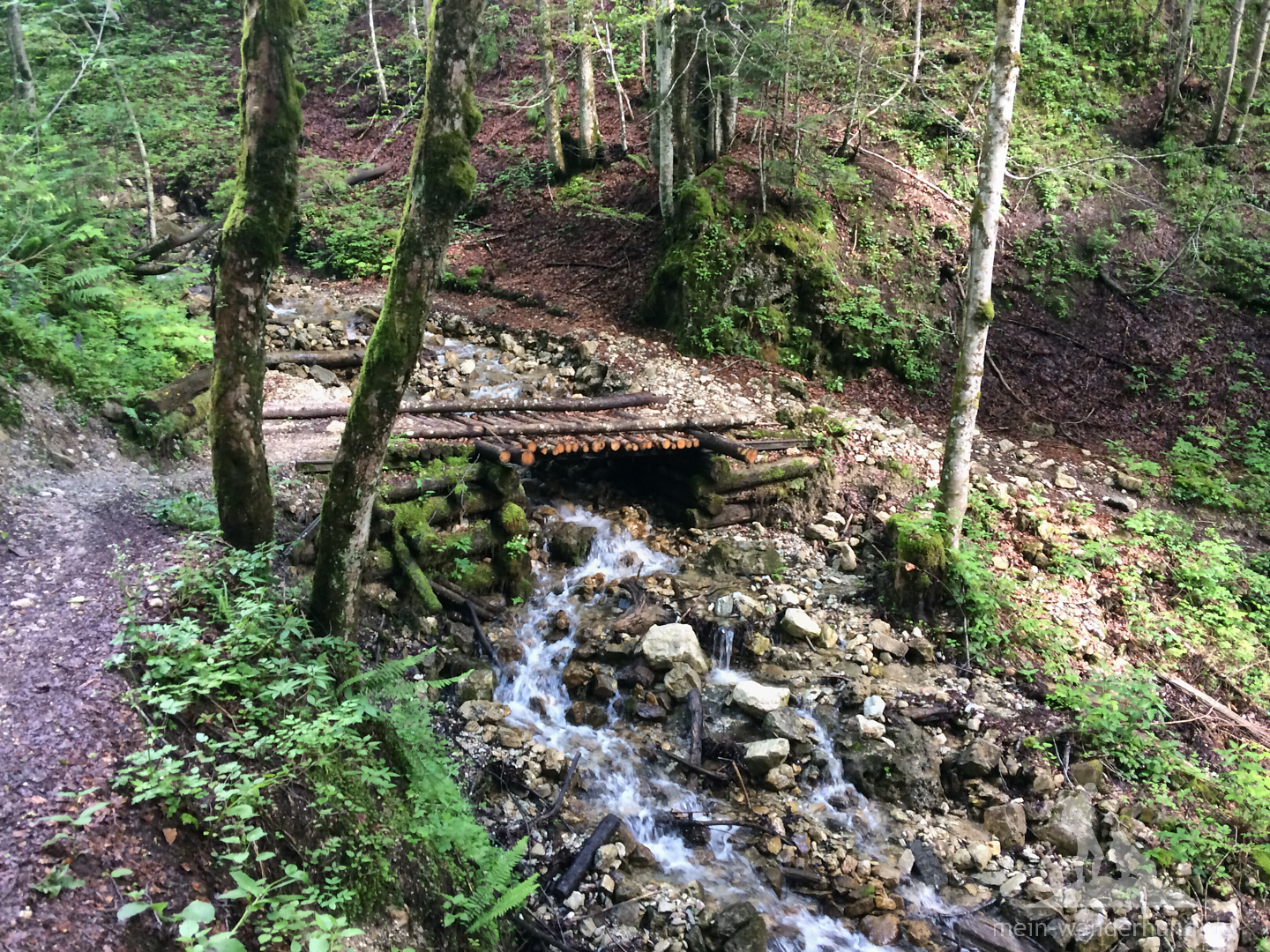 ... durch einen schattigen Wald am Rammelbach  und Zettelgraben entlang.