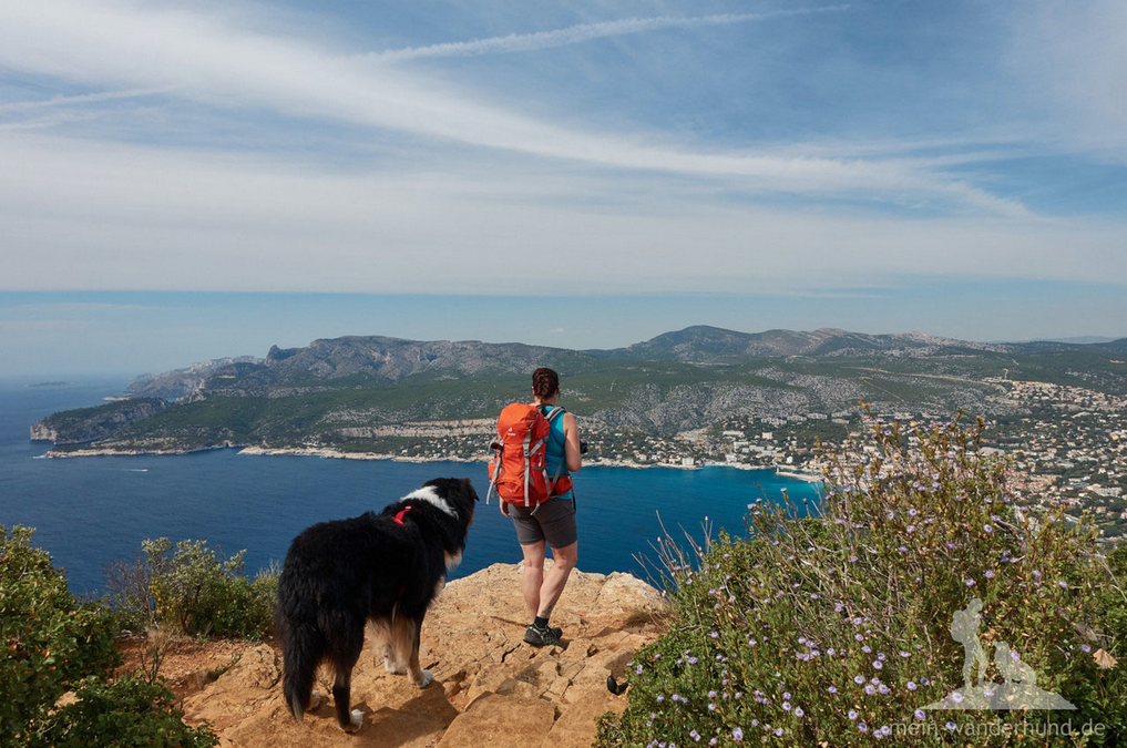 Wandern mit Hund Cassis - route des cretes