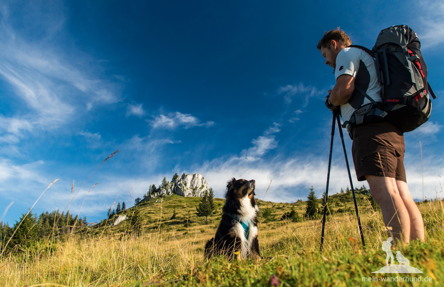 Fünf Expertentipps So wird euer Hund fit für die Wandersaison