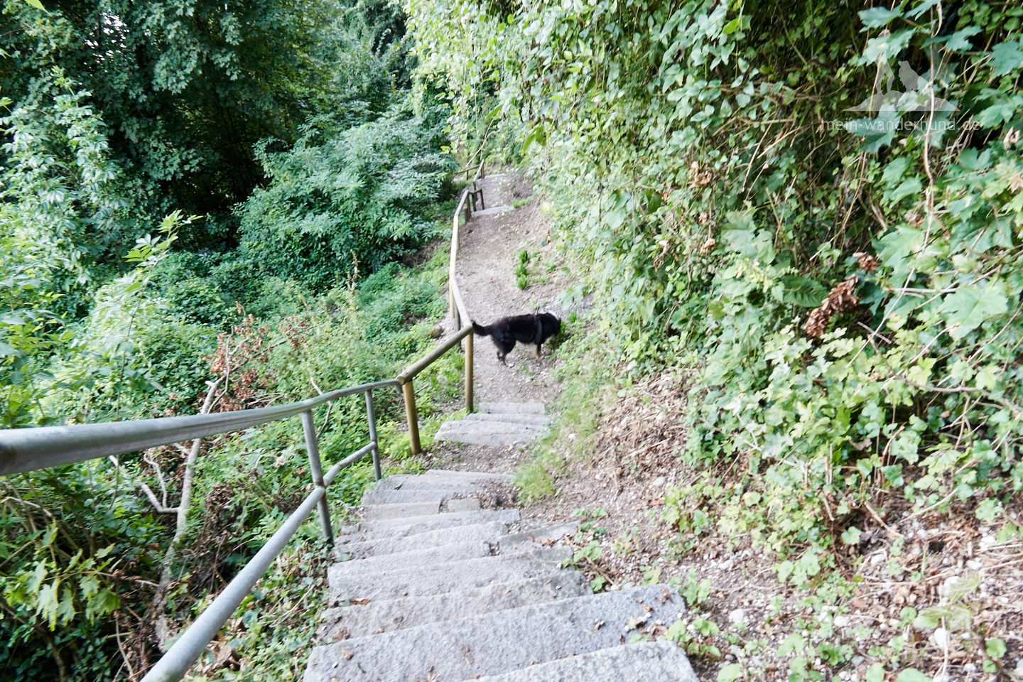 ... geht es über Treppen und ...