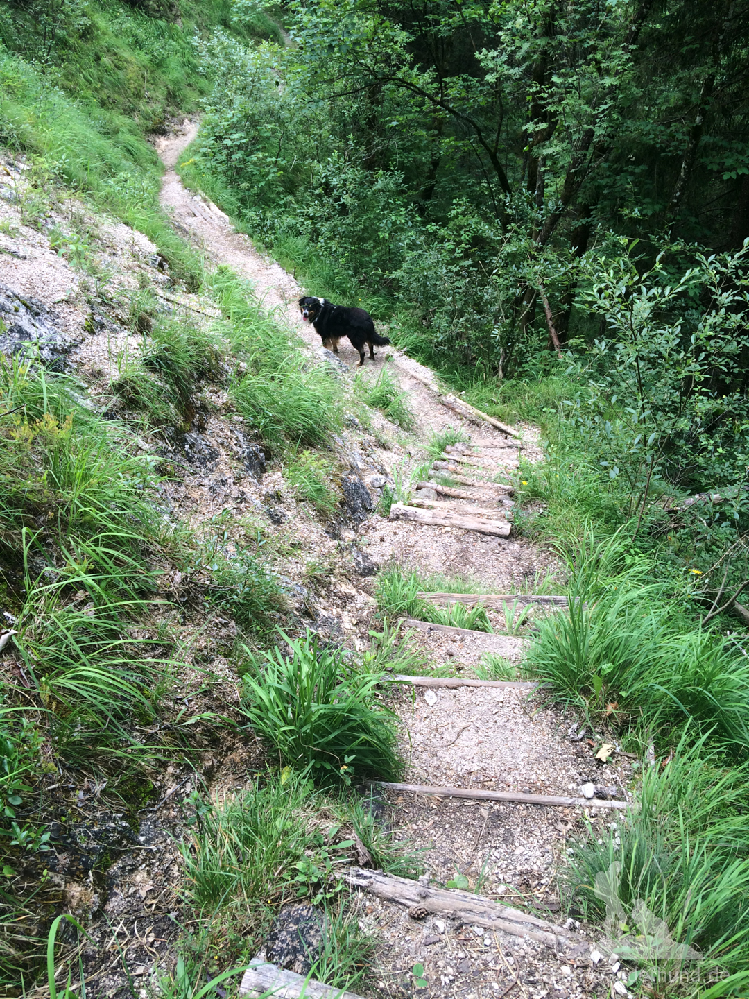 ... und über Treppen bergab geht es bis ...