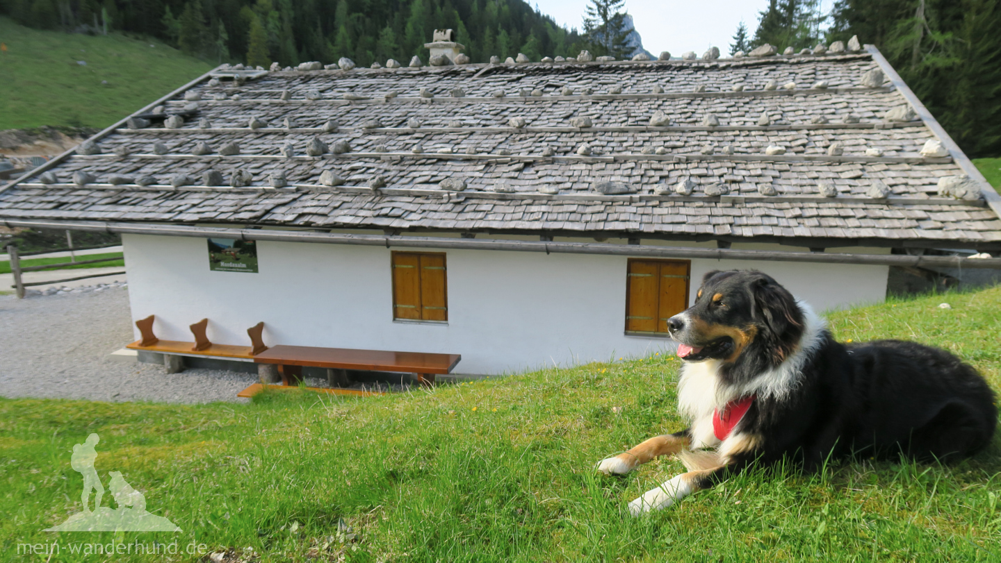 Mit dem Hund auf der Hütte übernachten Wandern mit Hund