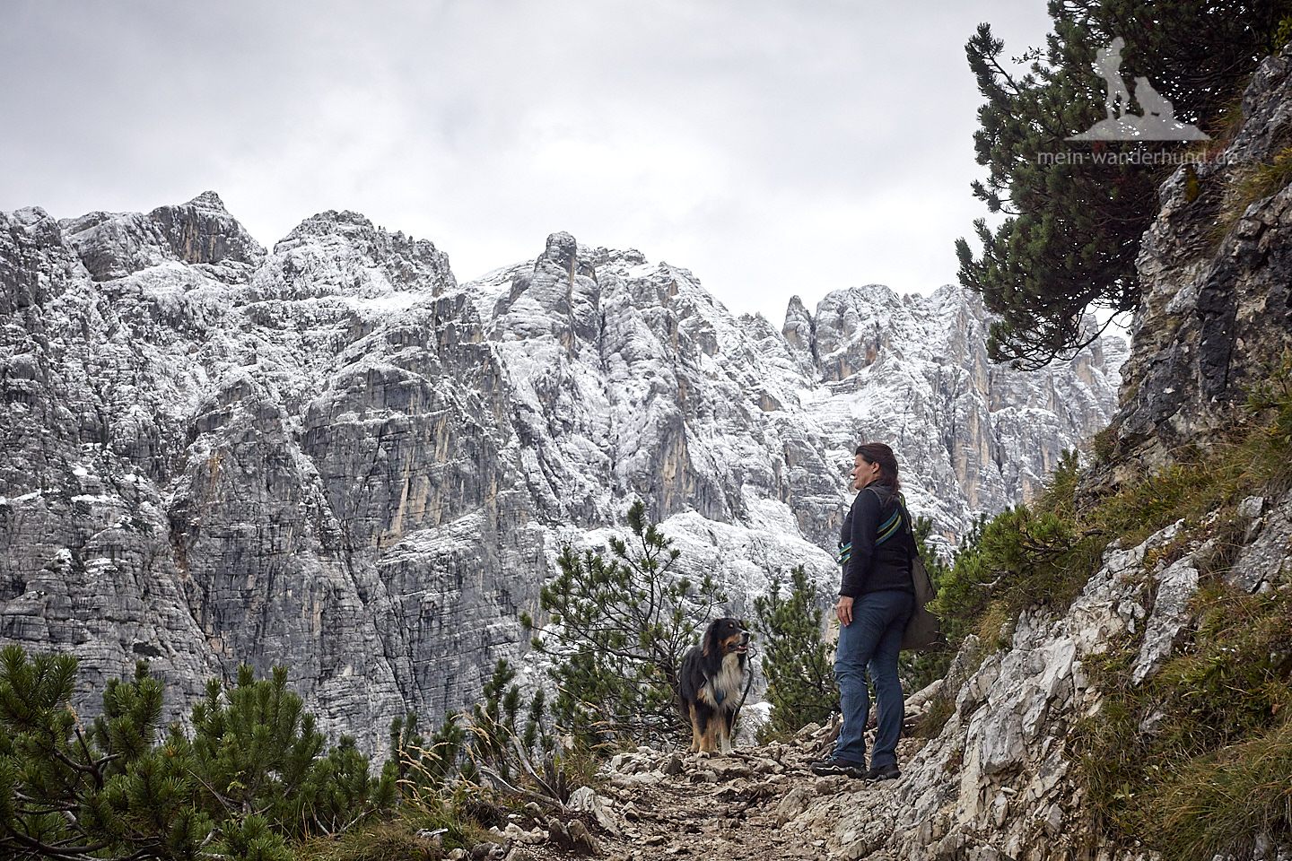 Mit Hund in den Dolomiten: Wanderung zum Lago di Sorapiss