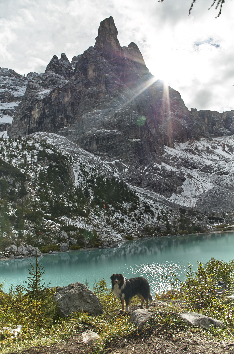 Mit Hund in den Dolomiten: Lago di Sorapis