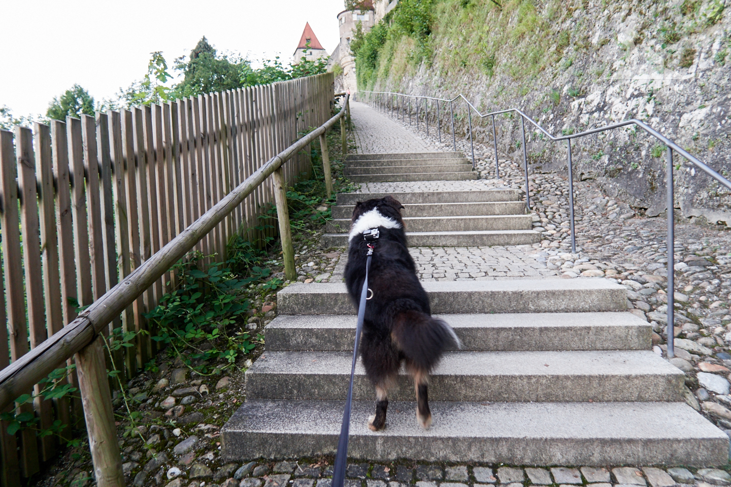 Einer der Wege zur Burg.