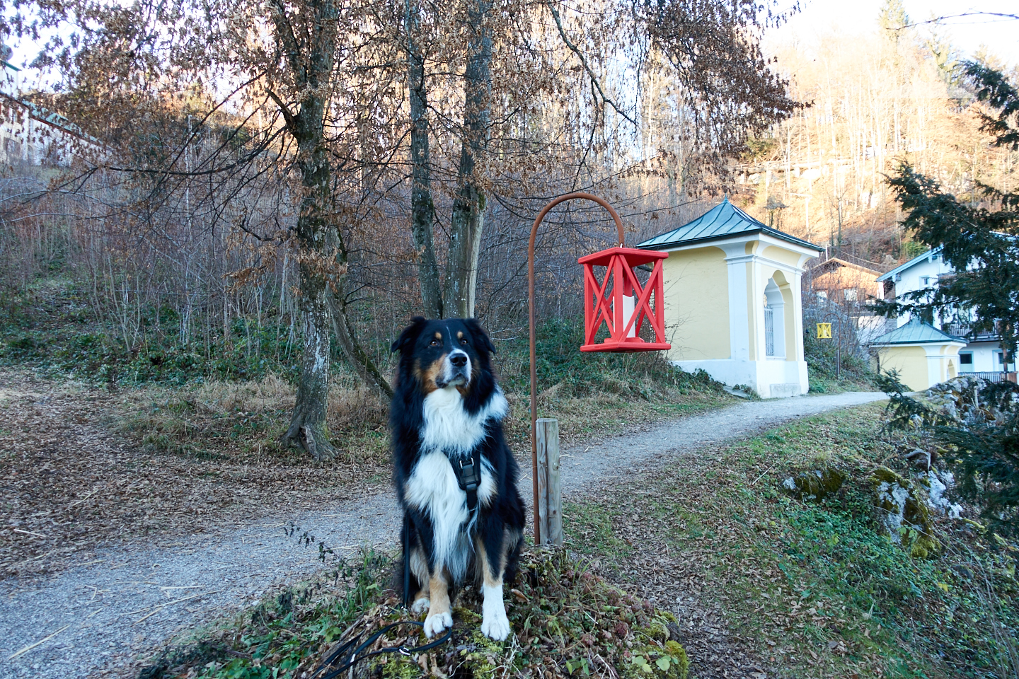 Mit Hund auf dem Emmaus-Rundweg Berchtesgaden