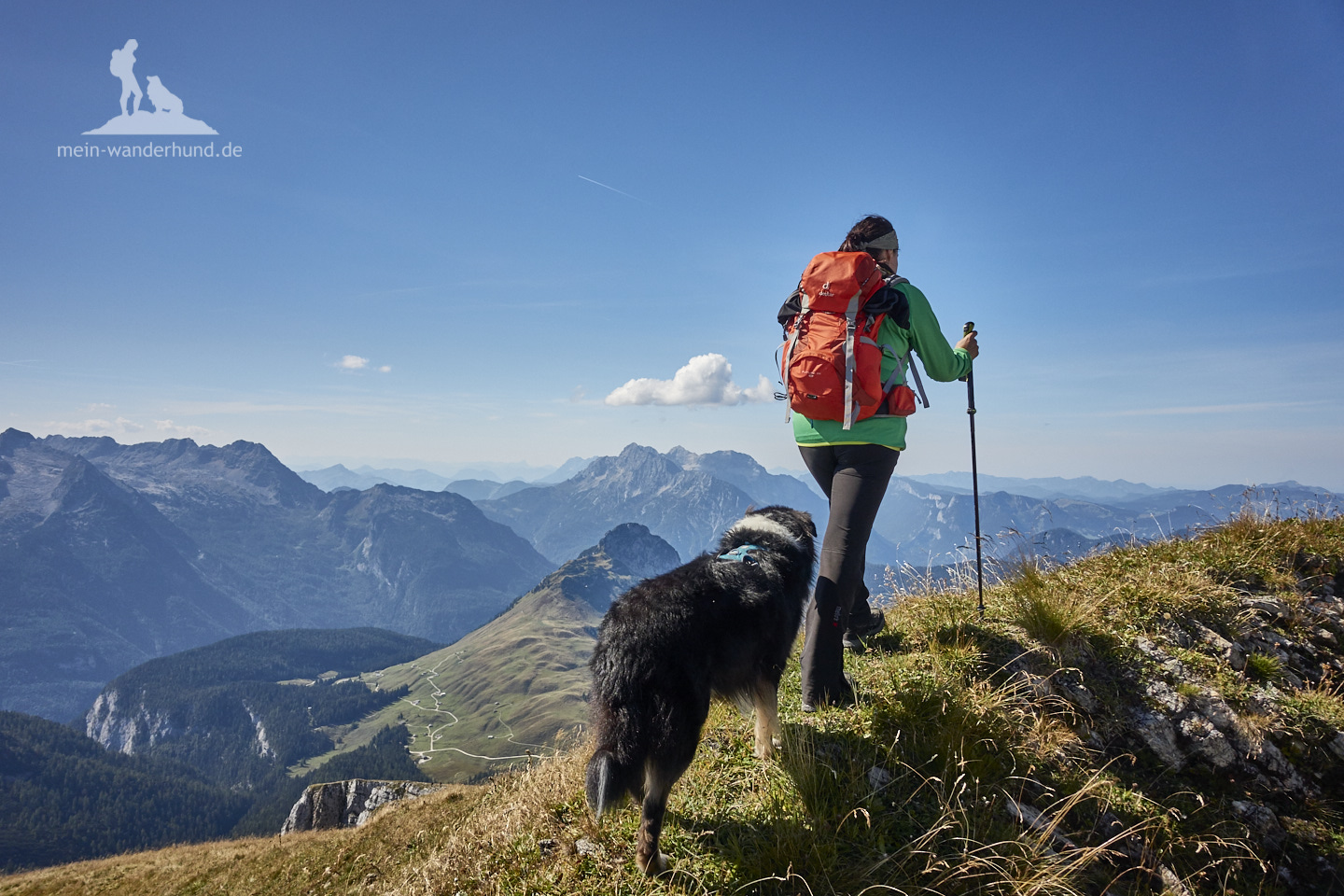 Wandern mit Hund Seehorn: beim Abstieg