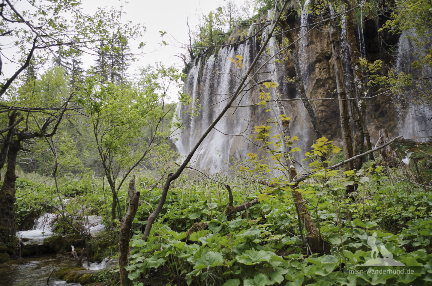 Plitwicer Seen mit Hund: Tolle Wasserfälle