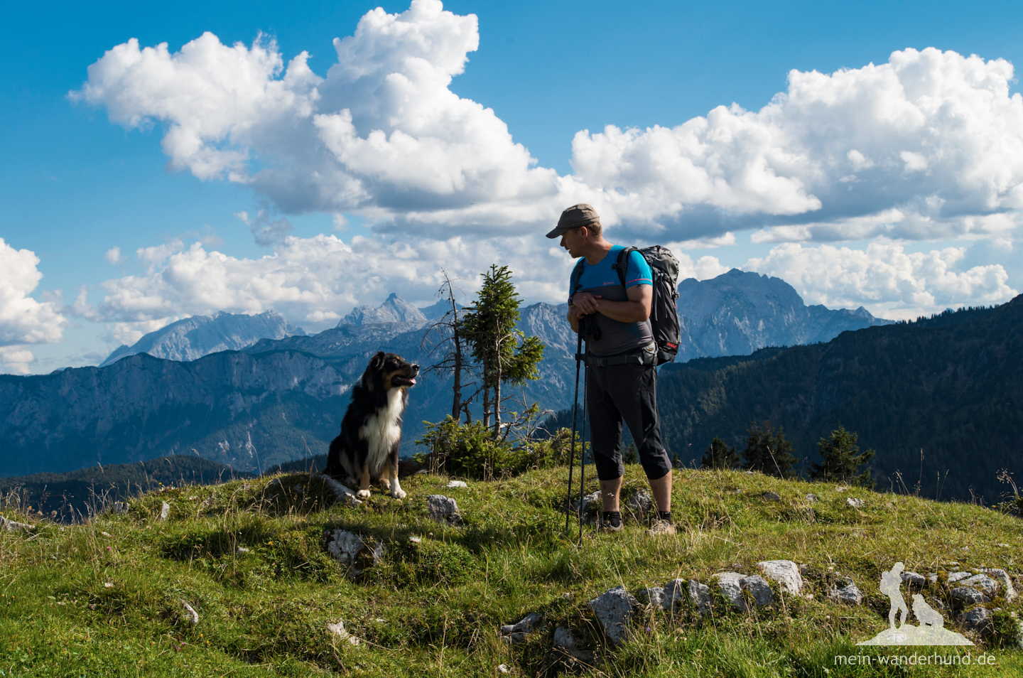 Die vier schönsten Frühjahrstouren mit Hund (SüdbayernÖsterreich