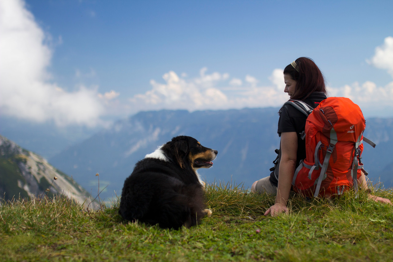 Buch Wandern mit Hund Berchtesgaden Chiemgau Wandern mit Hund