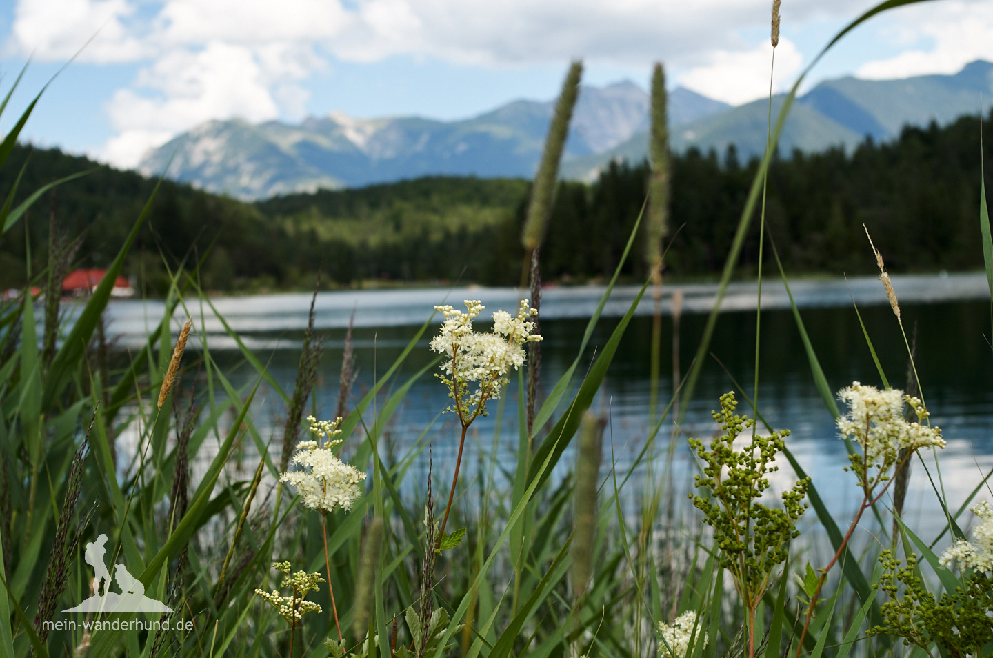 ... mit idyllischen Aussichten ...