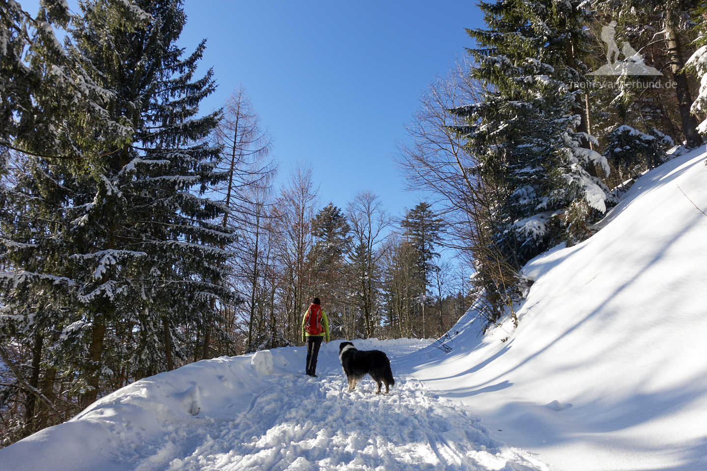 Winter Wanderung Inzell: Beim Aufstieg durch den Winter-Wald