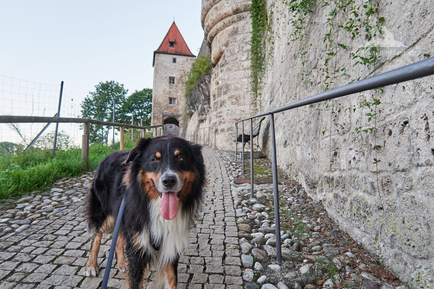 Einer der Wege zur Burg.