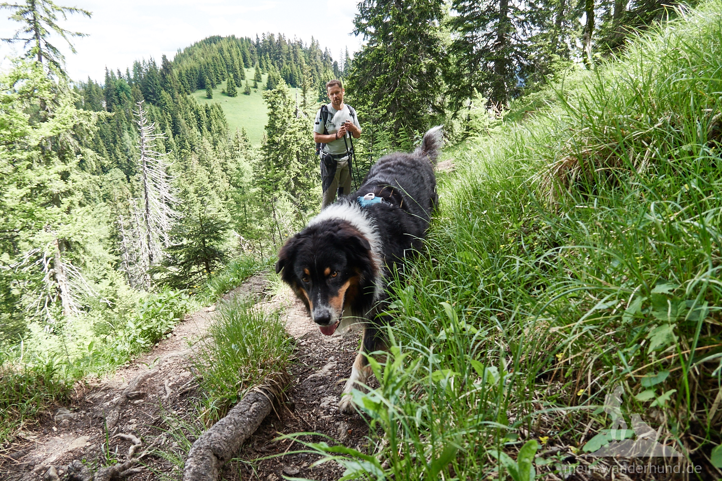 Nun folgt der schwierigste Teil der Wanderung: Der Jägersteig ...