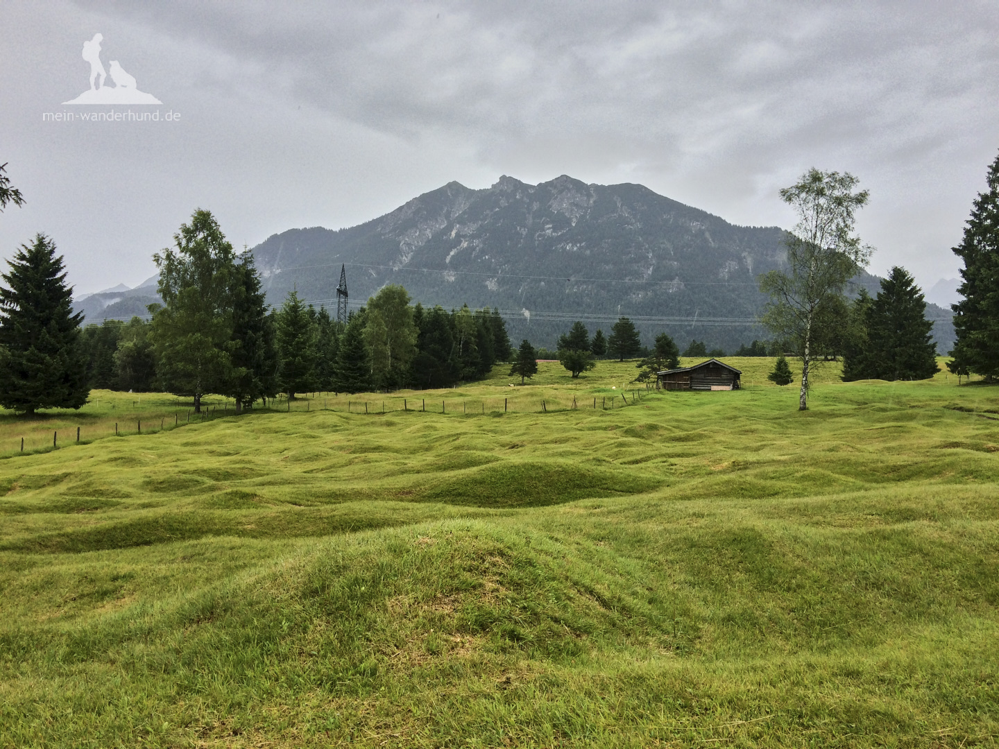 Buckelwiesenwanderung bei Krün