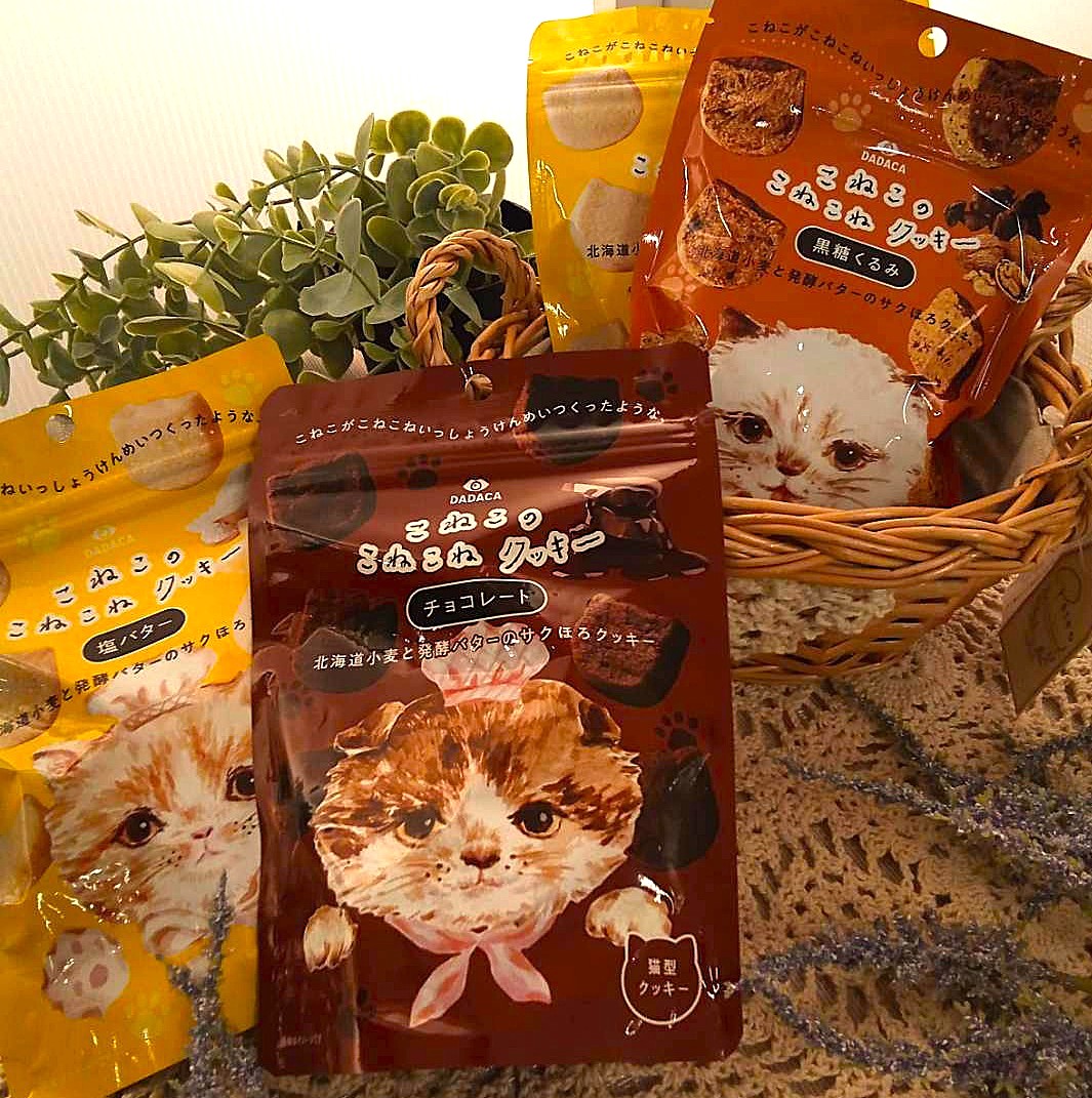 こねこのこねこねクッキー