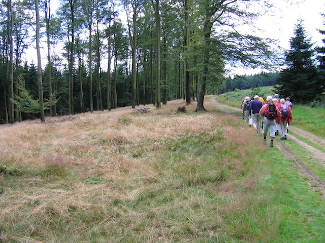 Auf dem Rothaarsteig