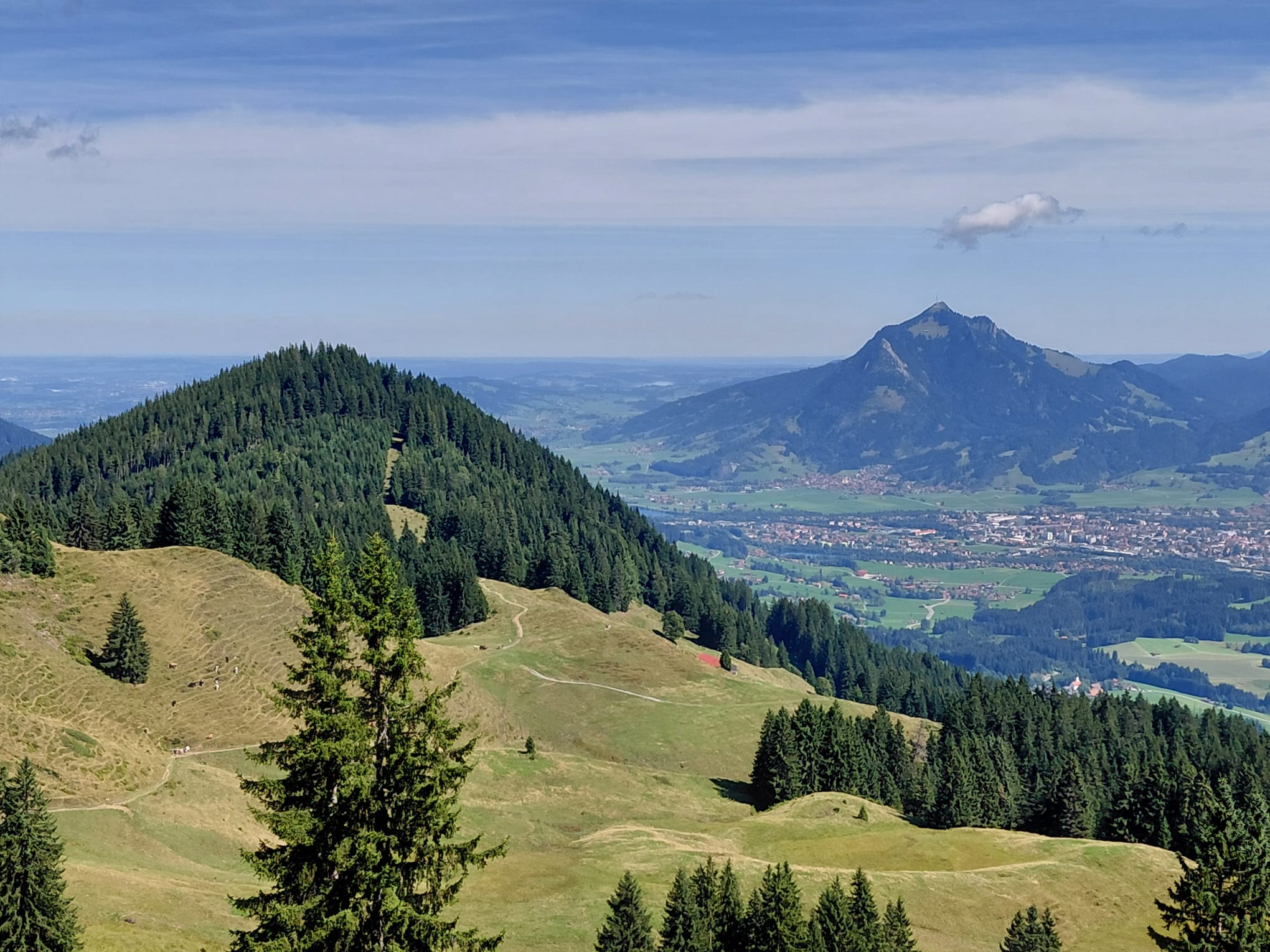 Blick auf den Grünten