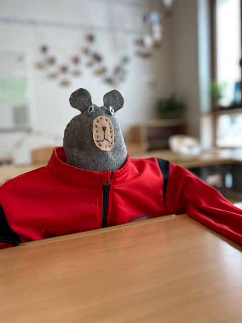 Wir nähen Bären