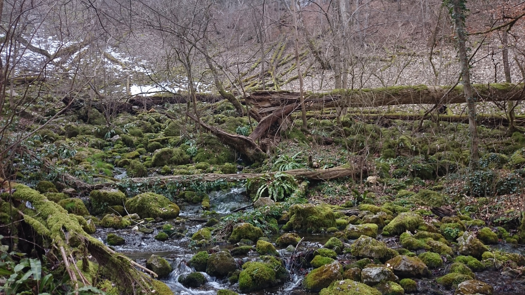 Die Hochwiese