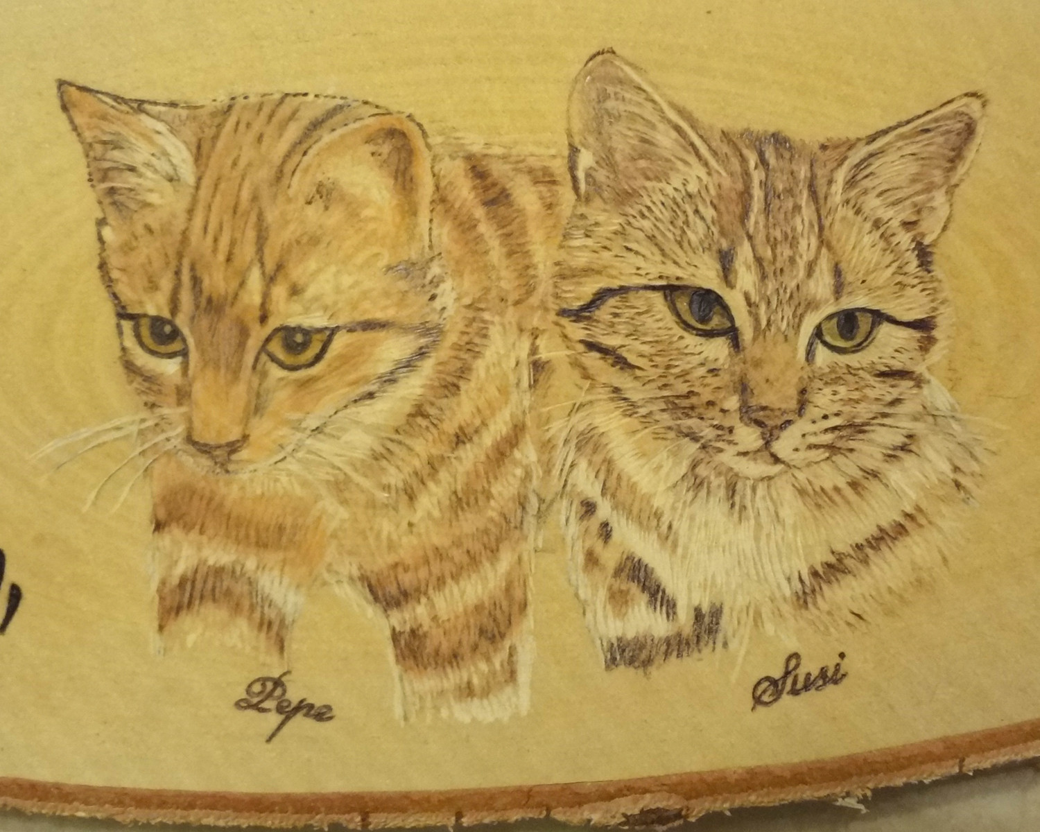 Galerie der Tierportraits, von Hand gebrannte Tierportraits mit der Kunst  der Brandmalerei - Tierische Kunstwerke, Schmuck aus Tierhaar - auch aus  Ihrem eigenen Tierhaar, Brandmalerei - Portrait Ihres Tieres in Holz  verewigt!