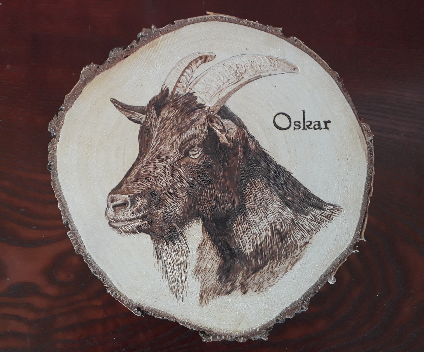 Brandmalerei von Ziege Oskar auf runder Birkenscheibe