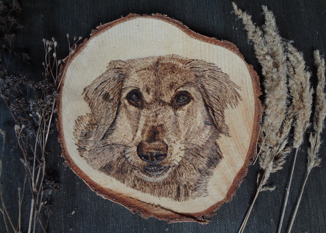 Hund "Gina" auf einer großen Baumschreibe