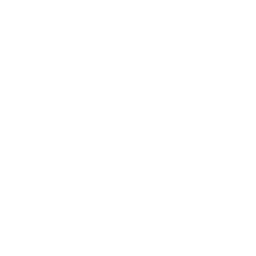 Local-SEO-Betreuung