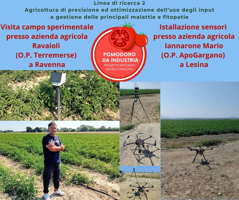 Progetto pomodoro da industria. Linea di Ricerca 2