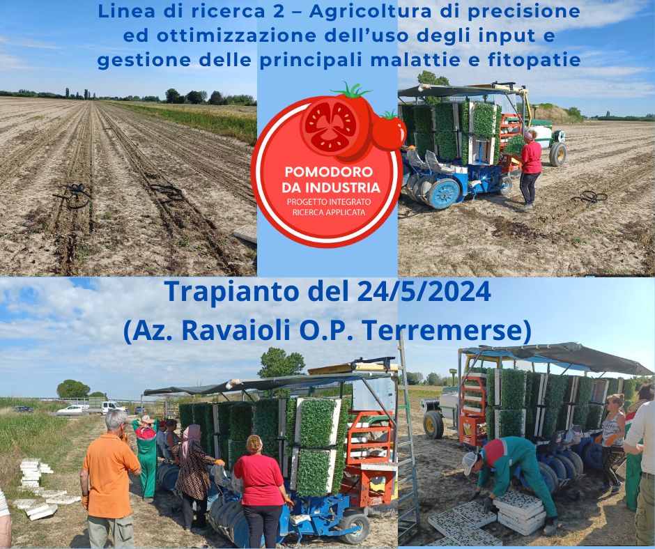 O.P. Terremerse: Trapianto presso azienda agricola Ravaioli