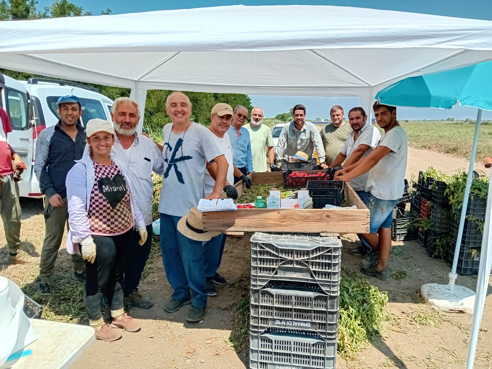 Raccolta presso l'azienda agricola Piccolo Pasquale