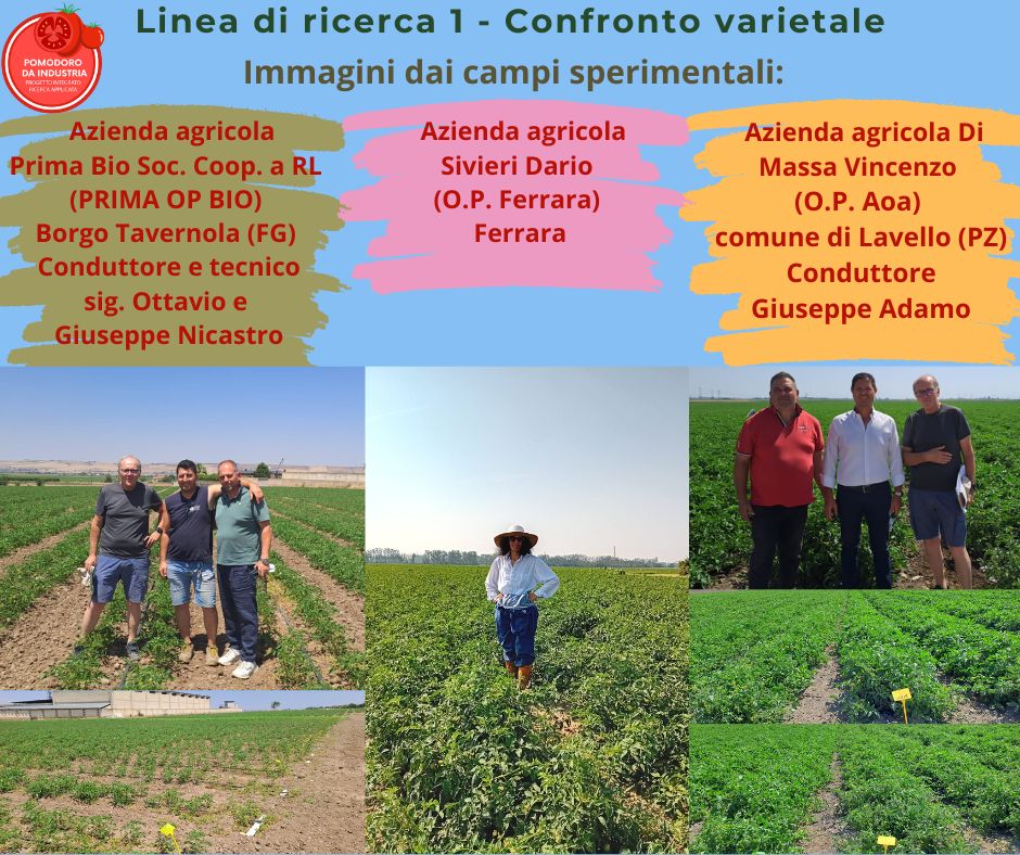 Immagini dal campo