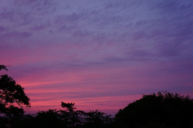 6月22日：夕空